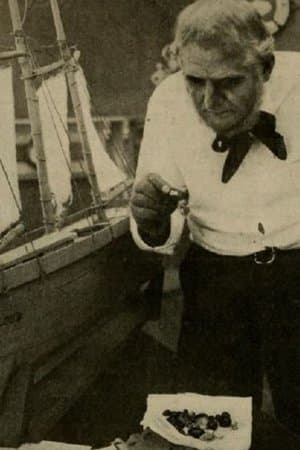 The Treasure Ship streaming