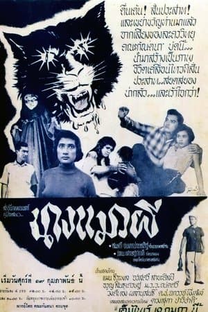 นางแมวผี streaming