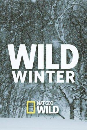 Wild Winter streaming