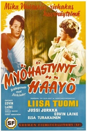 Myöhästynyt hääyö streaming