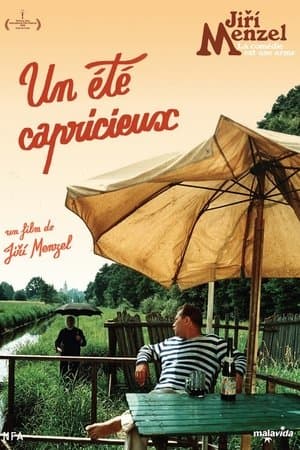 Un été capricieux streaming
