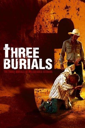 The Three Burials of Melquiades Estrada streaming