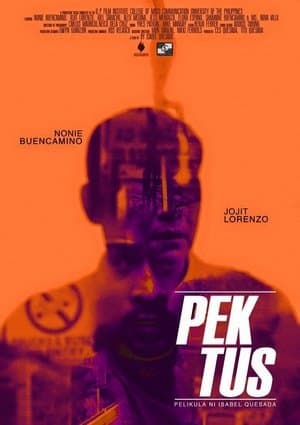 Pektus streaming