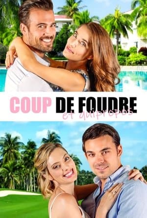 Coup de foudre et quiproquos streaming