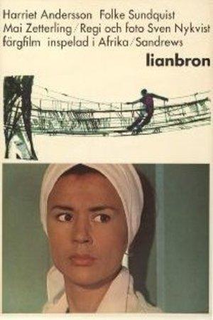 Lianbron streaming