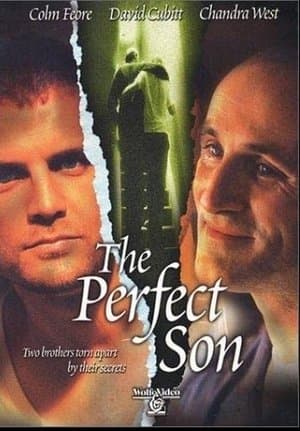 The Perfect Son streaming