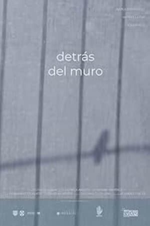 Detrás del Muro streaming