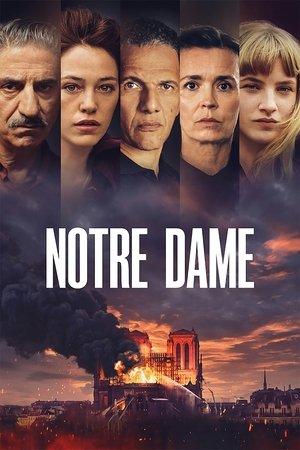 Notre-Dame streaming