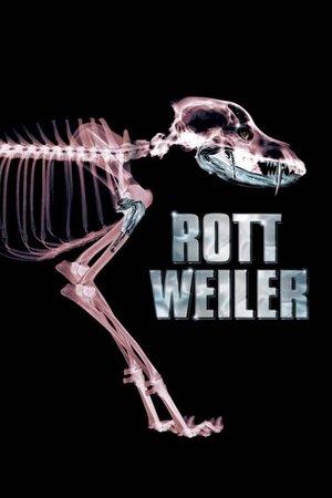 Rottweiler streaming
