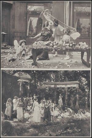 Le mariage de l'amour streaming