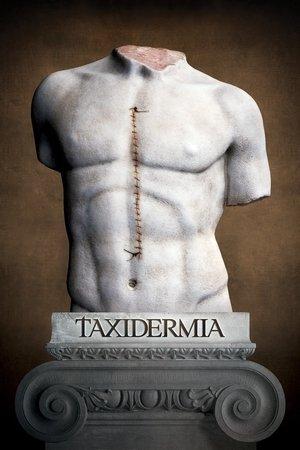 Taxidermia streaming