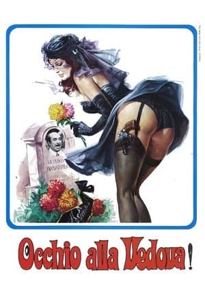 Occhio Alla Vedova! streaming