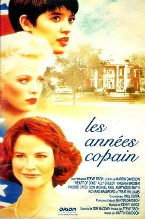 Les Années Copain streaming