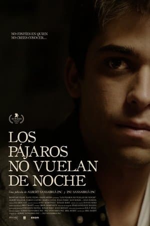 Los pájaros no vuelan de noche streaming
