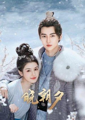 晓朝夕 streaming