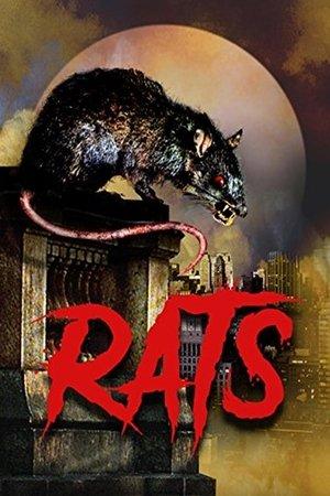 Rats streaming