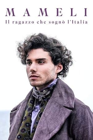 Mameli - Il ragazzo che sognò l'Italia streaming