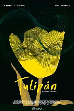 Tulipán streaming