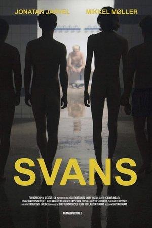 Svans streaming