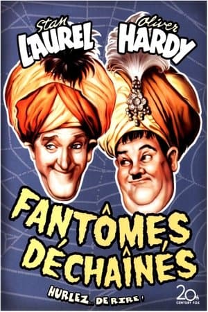 Laurel Et Hardy - Fantômes déchaînés streaming