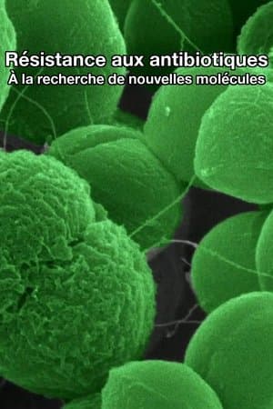 Résistance aux antibiotiques : À la recherche de nouvelles molécules streaming