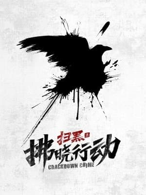 扫黑之拂晓行动 streaming