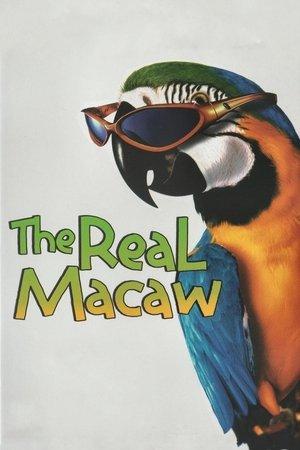 The Real Macaw streaming