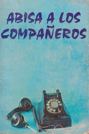 Abisa a los compañeros streaming