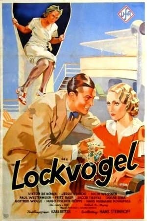 Lockvogel streaming