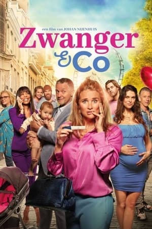 Zwanger & Co streaming
