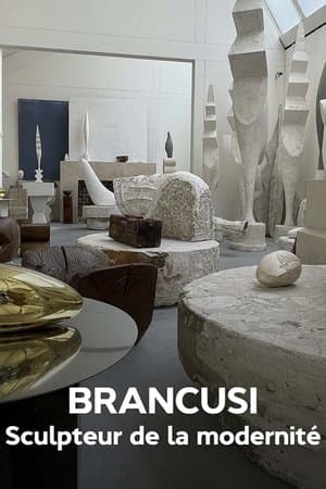 Brancusi : les métamorphoses de la sculpture streaming