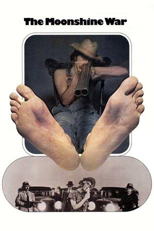 The Moonshine War streaming
