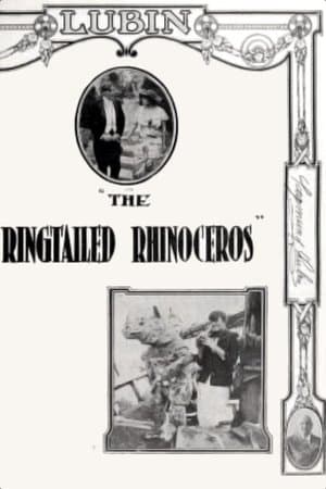 The Ringtailed Rhinoceros streaming