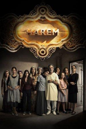 Harem streaming