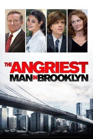 The Angriest Man in Brooklyn streaming