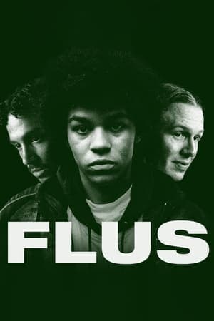 Flus streaming