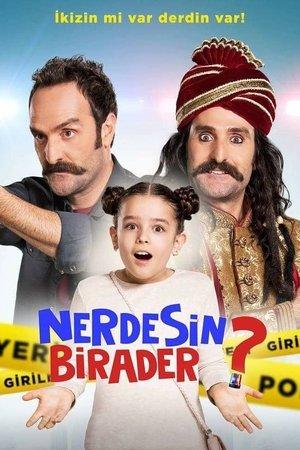 Nerdesin Birader? streaming