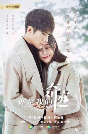 你是我的奇迹 streaming