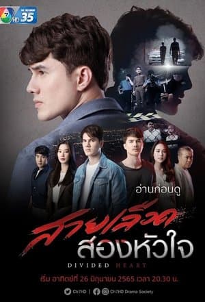Divided Heart streaming