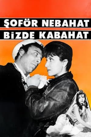 Şoför Nebahat Bizde Kabahat streaming
