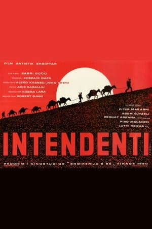 Intendenti streaming