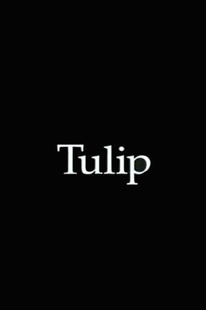 Tulip streaming
