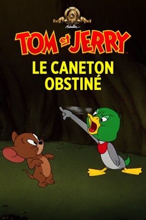 Le caneton obstiné streaming