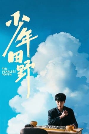 少年田野 streaming