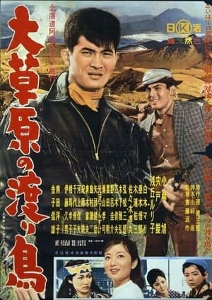 The Rambler Rides Again streaming