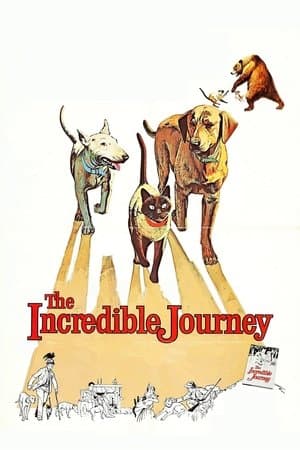 The Incredible Journey streaming