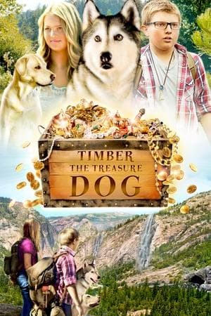 Timber et la carte au trésor streaming
