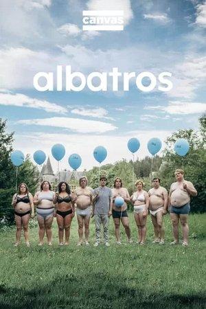 Albatros streaming