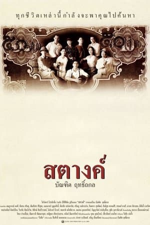 สตางค์ streaming