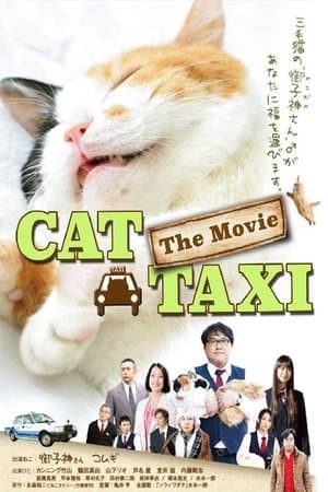 Cat Taxi streaming